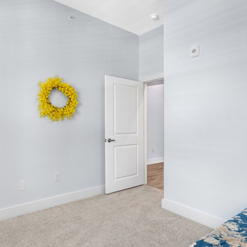 A second spacious bedroom with a closet and bed