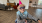 Picture of senior lady wearing happy birthday glasses and pink birthday hat